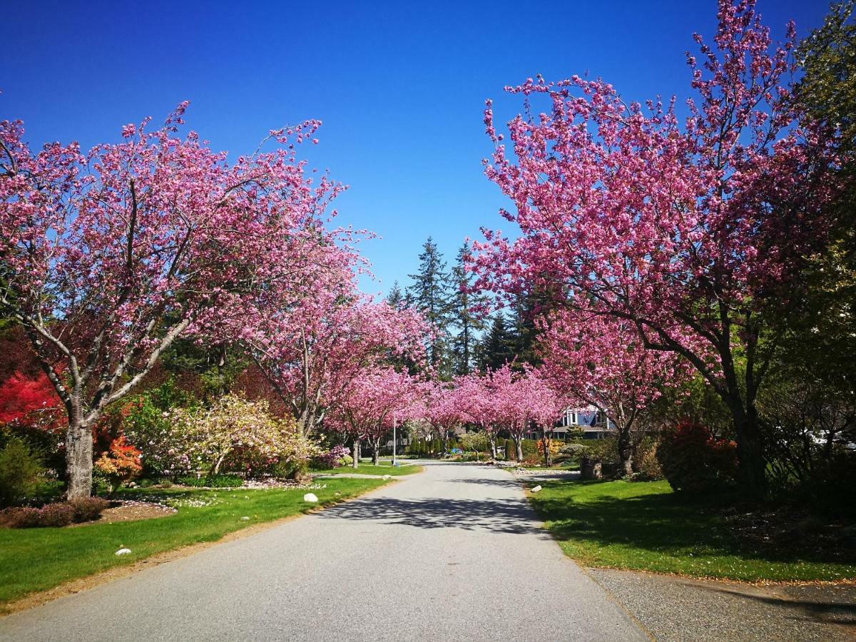 White Rock Pacific Hotel Surrey Luaran gambar